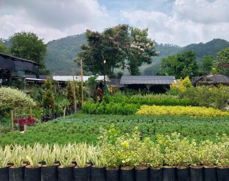 Nursery